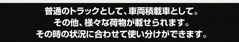 普通のトラックとして、車両積載車として。その他、様々な荷物が載せられます。その時の状況に合わせて使い分けができます。